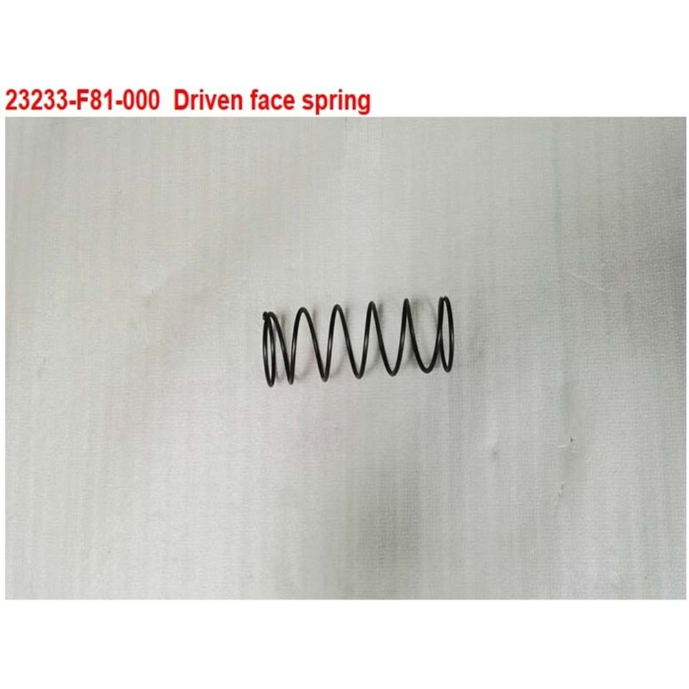 SYM YAYI VARYATOR YAYI OYNAR YANAK YAYI ARKA 23233-F81-000