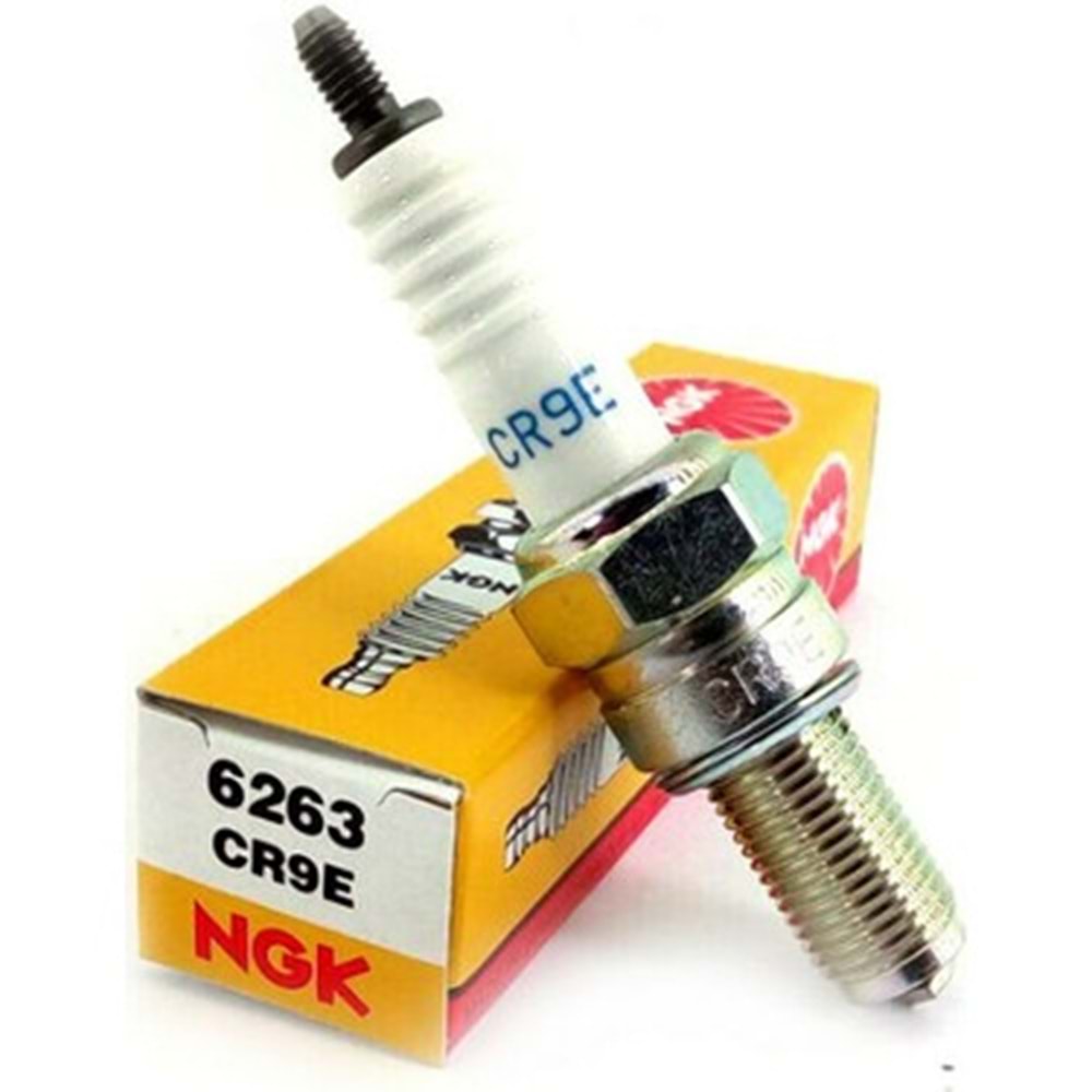 NGK Buji CR9E
