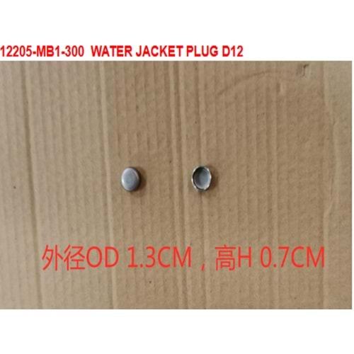 SYM SUBAP KAPAGI FİŞİ 12205-MB1-300