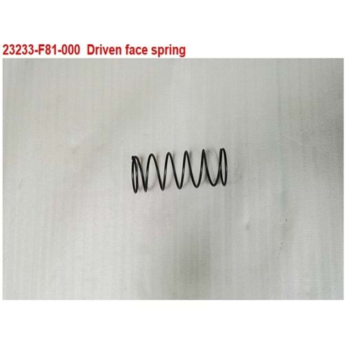 SYM YAYI VARYATOR YAYI OYNAR YANAK YAYI ARKA 23233-F81-000