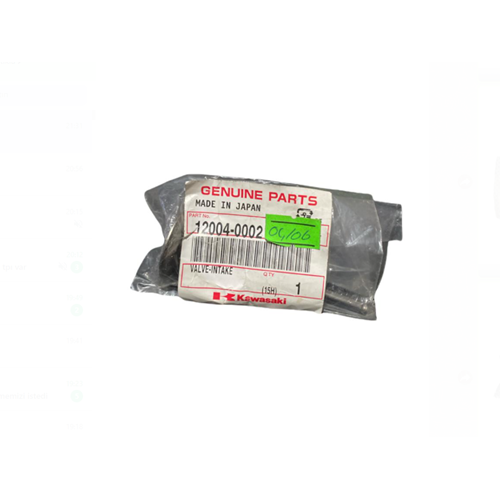 KAWASAKİ KX 250 F EMME SİBOBU 04/06 12004-0002