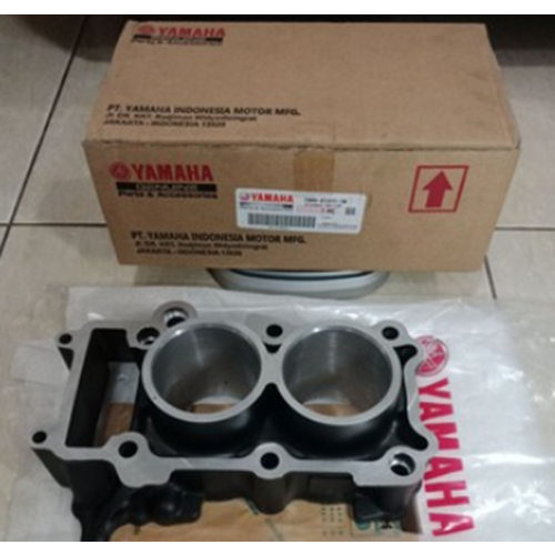 YAMAHA R25 MT 25 SİLİNDİR (BOŞ) 1WD-E1311-10