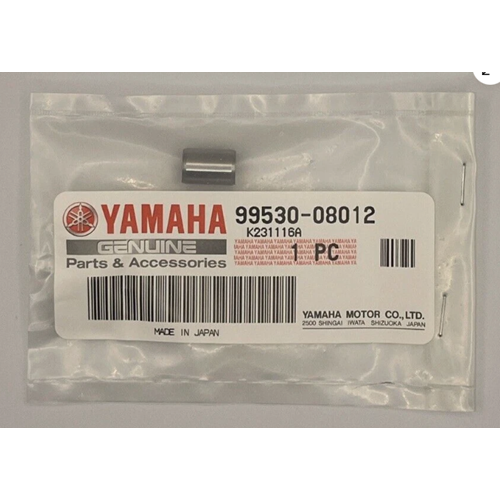 YAMAHA R25 MT25 R3 MT03 ORİJİNAL KARTER MERKEZLEME PİMİ 99530-08012