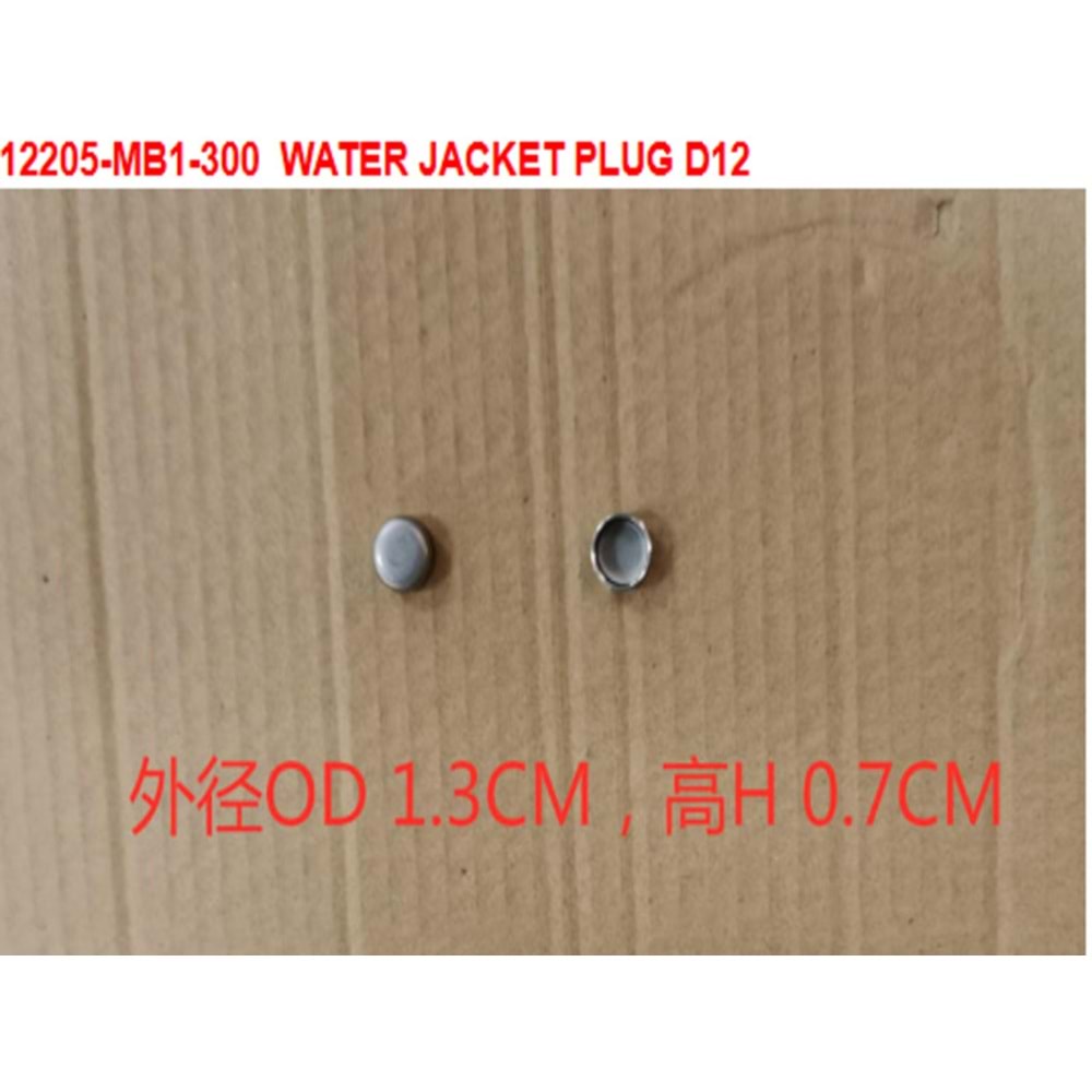 SYM SUBAP KAPAGI FİŞİ 12205-MB1-300