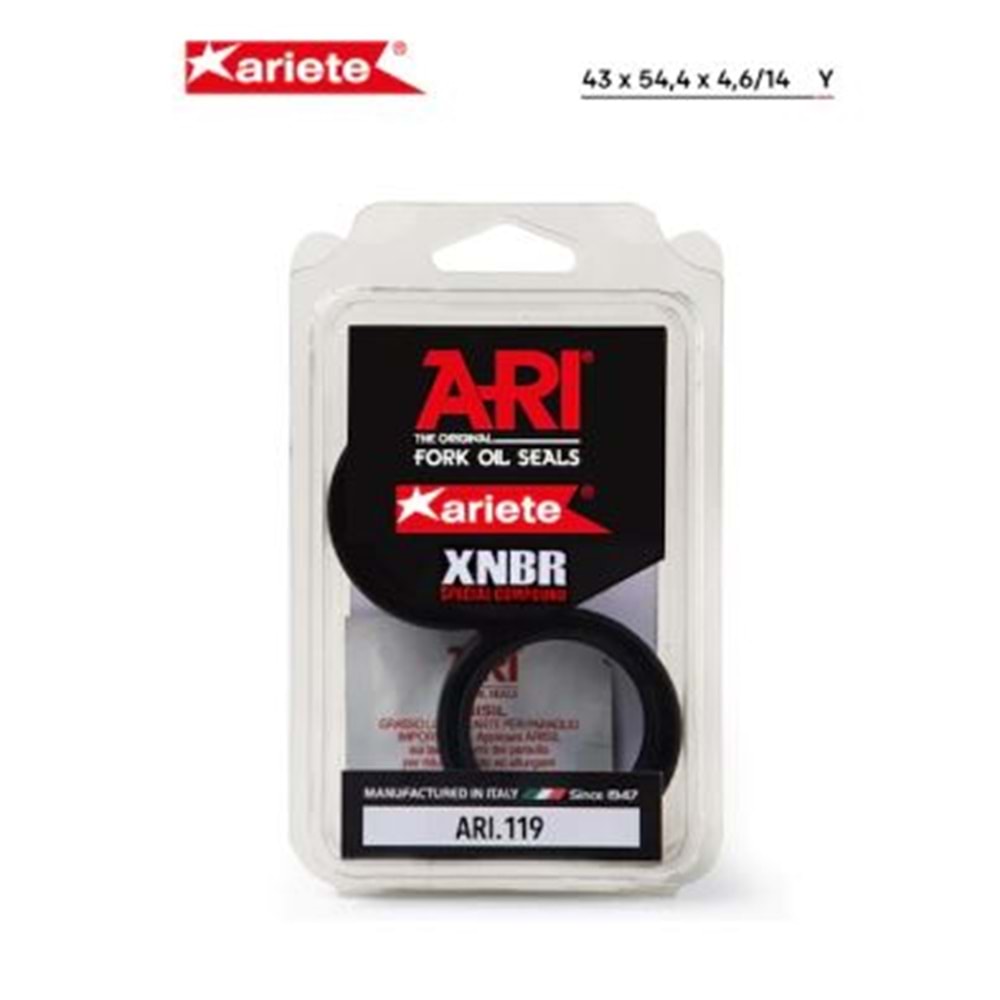 ARIETE BMW F 800 S ÖN AMORTİSÖR TOZ KEÇESİ (06/10) 43X54,4X4,6/14 ARI.119