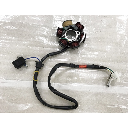 SYM Fiddle Eski Kasa (2008-09) Manyeto Tablası / Statör 31120-M92-001