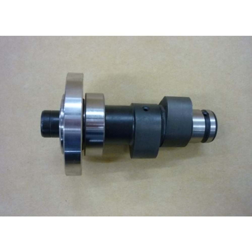 SYM EKSANTRİK KAM MİLİ WOLF 125 14100-B3D-030