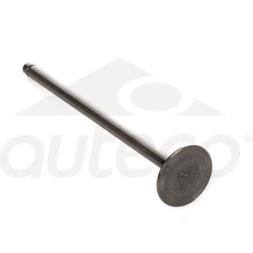 TVS RAIDER 125 SUPAP EMME ORİJİNAL N8011700