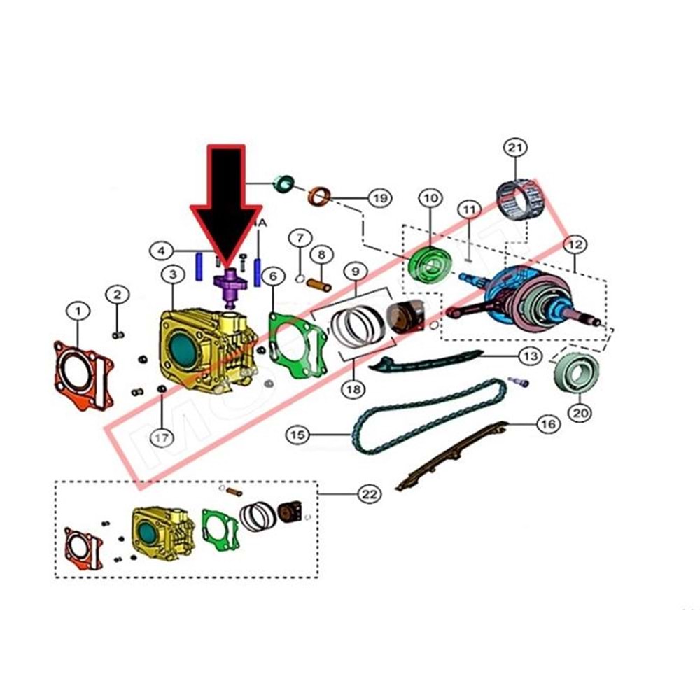 TVS NTORQ 125 EKSANTRİK GERGİSİ TANSİYONER GERGİ ORJ. Y4TVS7005A0232